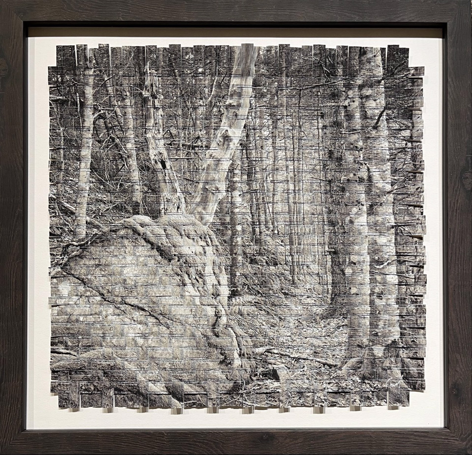 Woodland Serenity by Emerald Estock