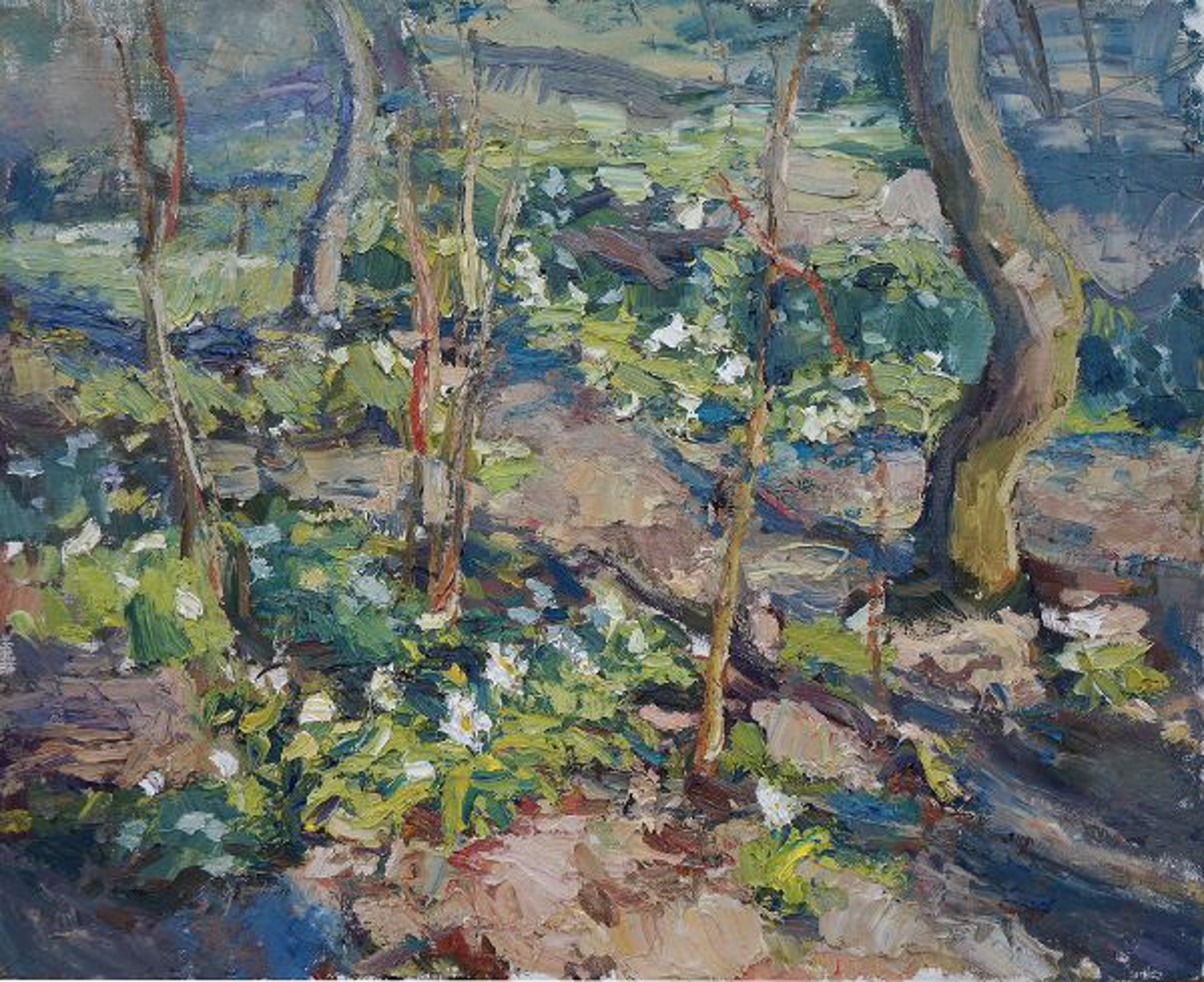 Forest Floor in Spring by Antonin Passemard
