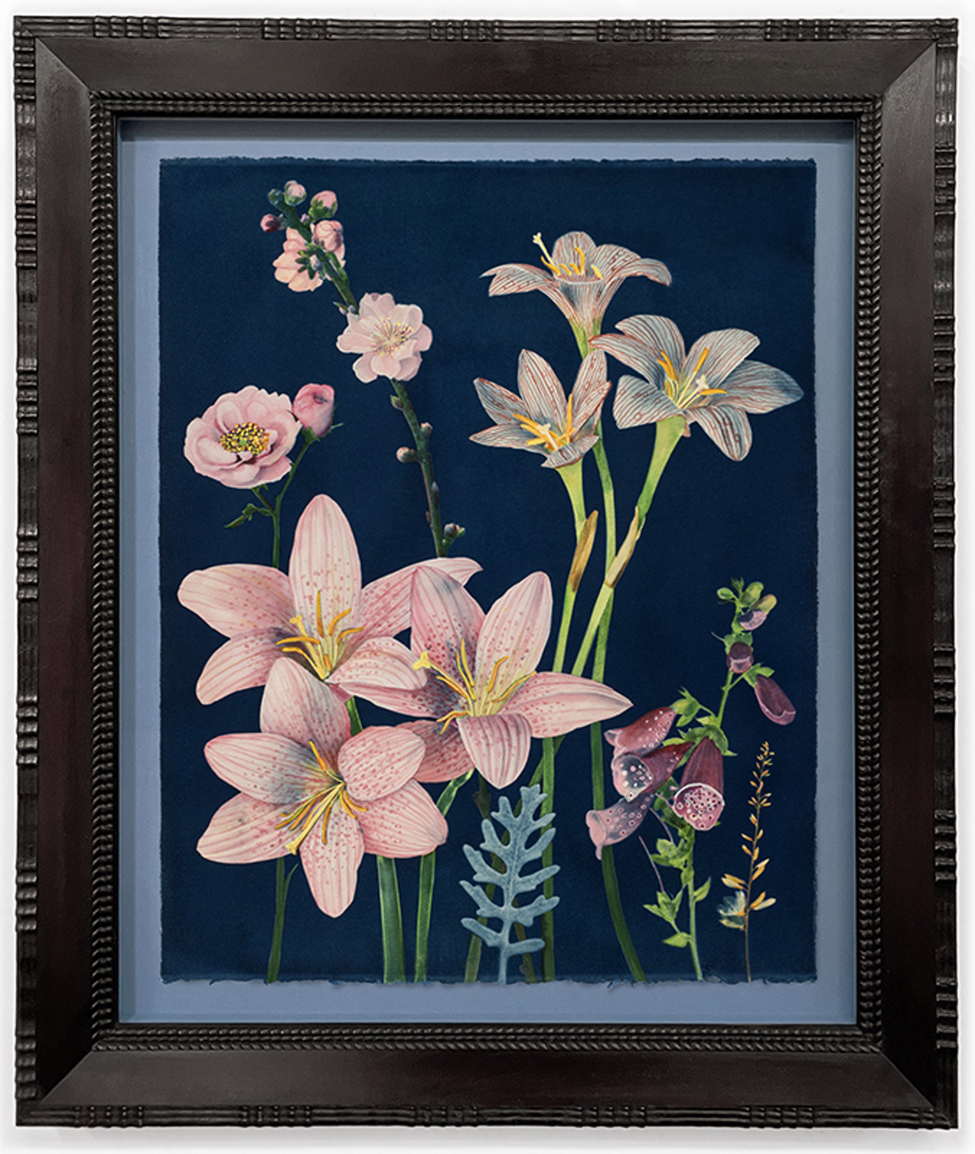 Picturesque Botany (Lily, Rose, Cherry Blossom, Foxglove, Dusty Miller, etc.) by Julia Whitney Barnes