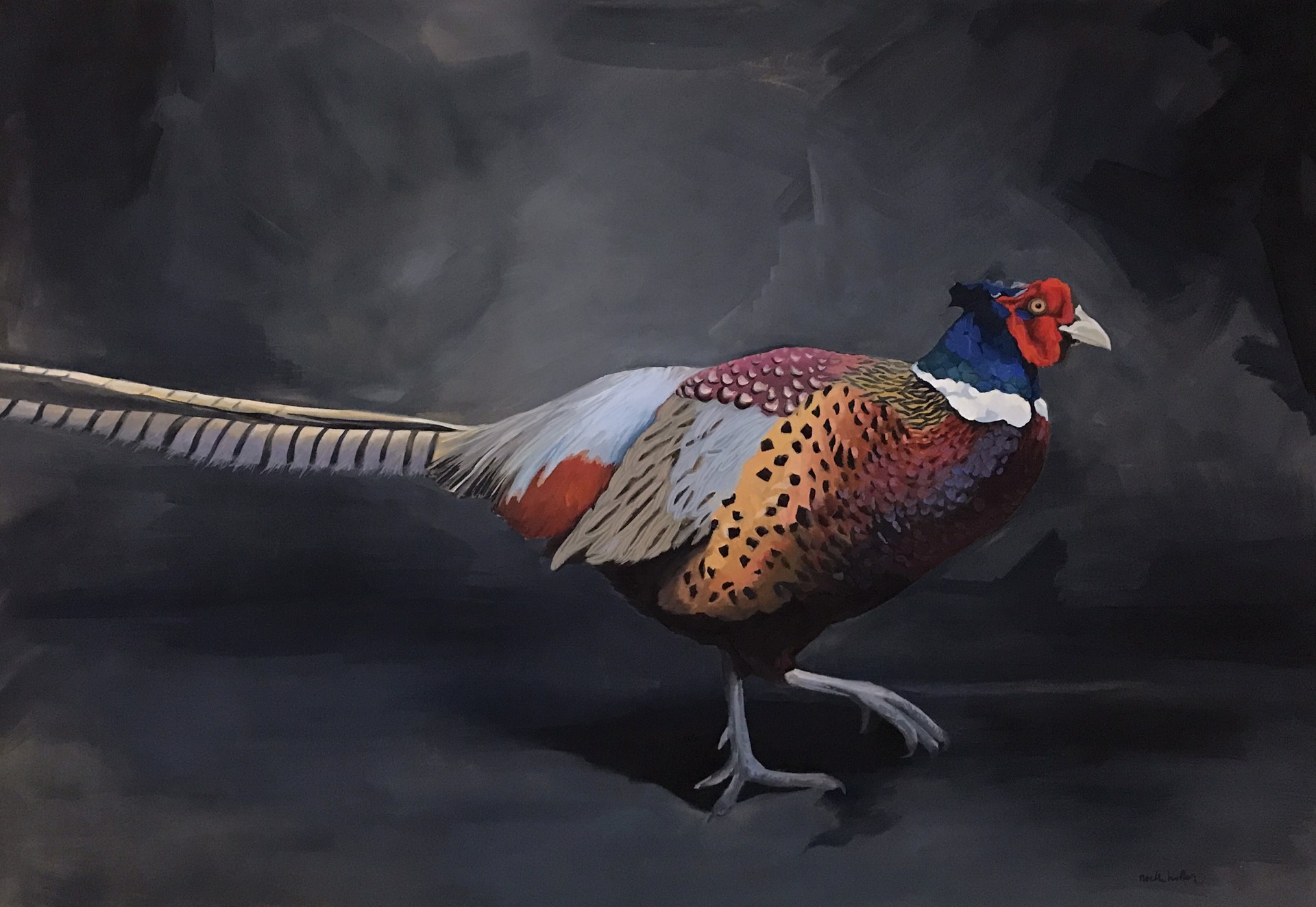 Portrait of a Ring Neck Pheasant by Noelle Holler