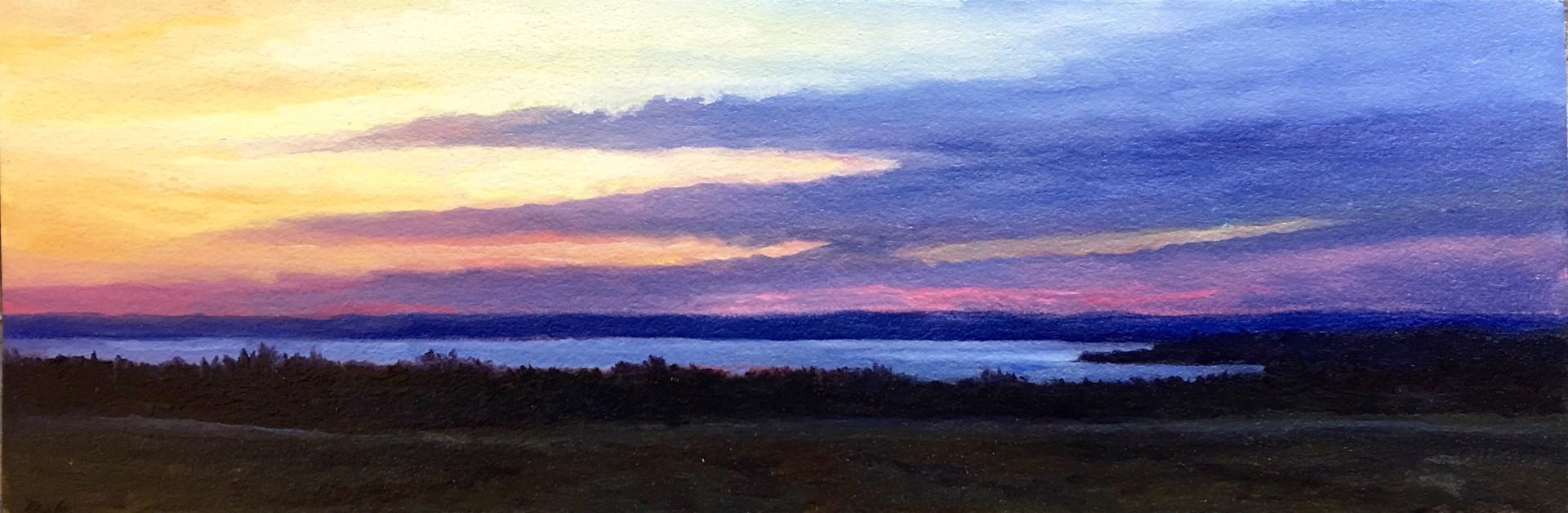 Vineyard Sunset by Edward Duff