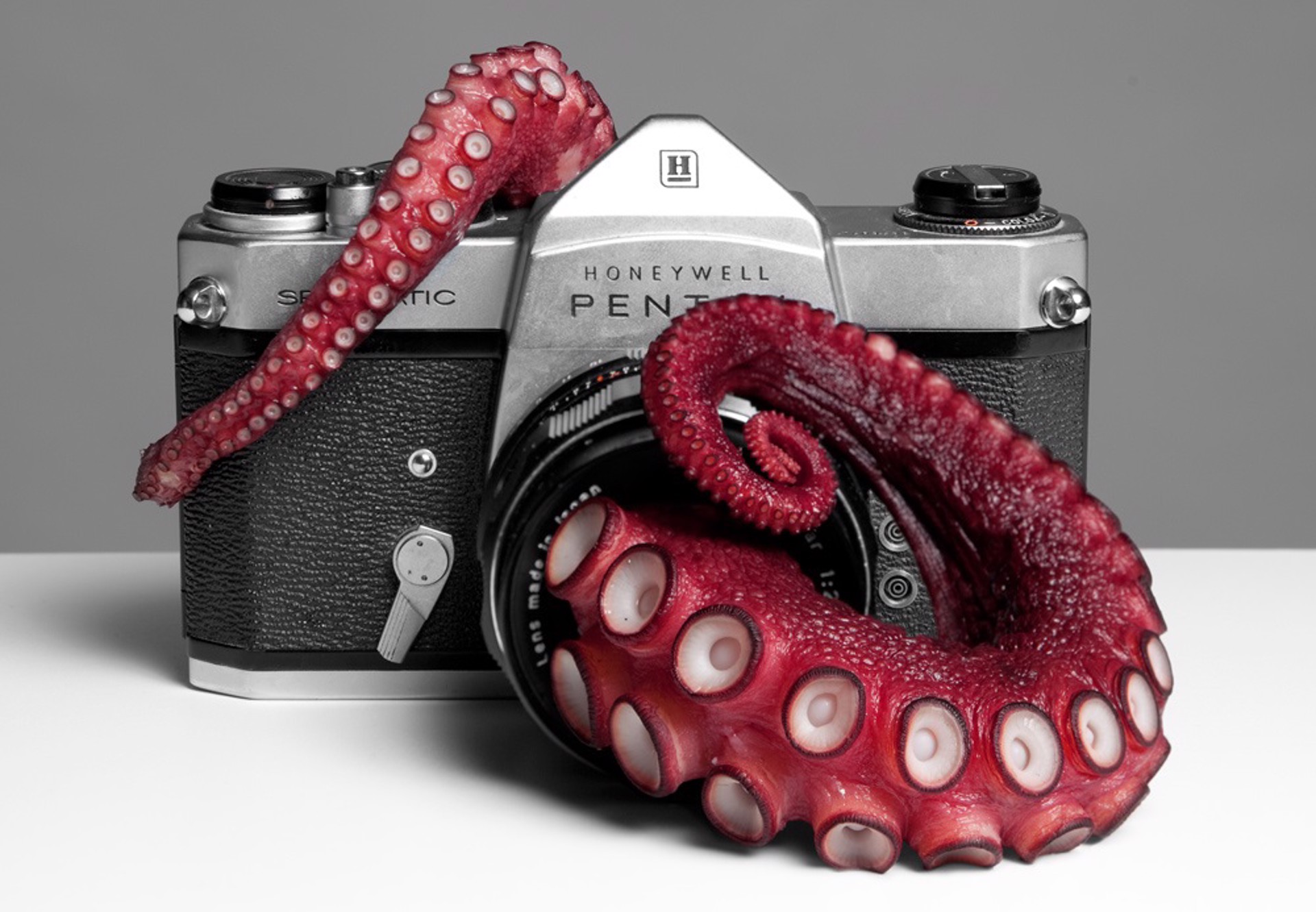 Octopus Camera by Max Shuster