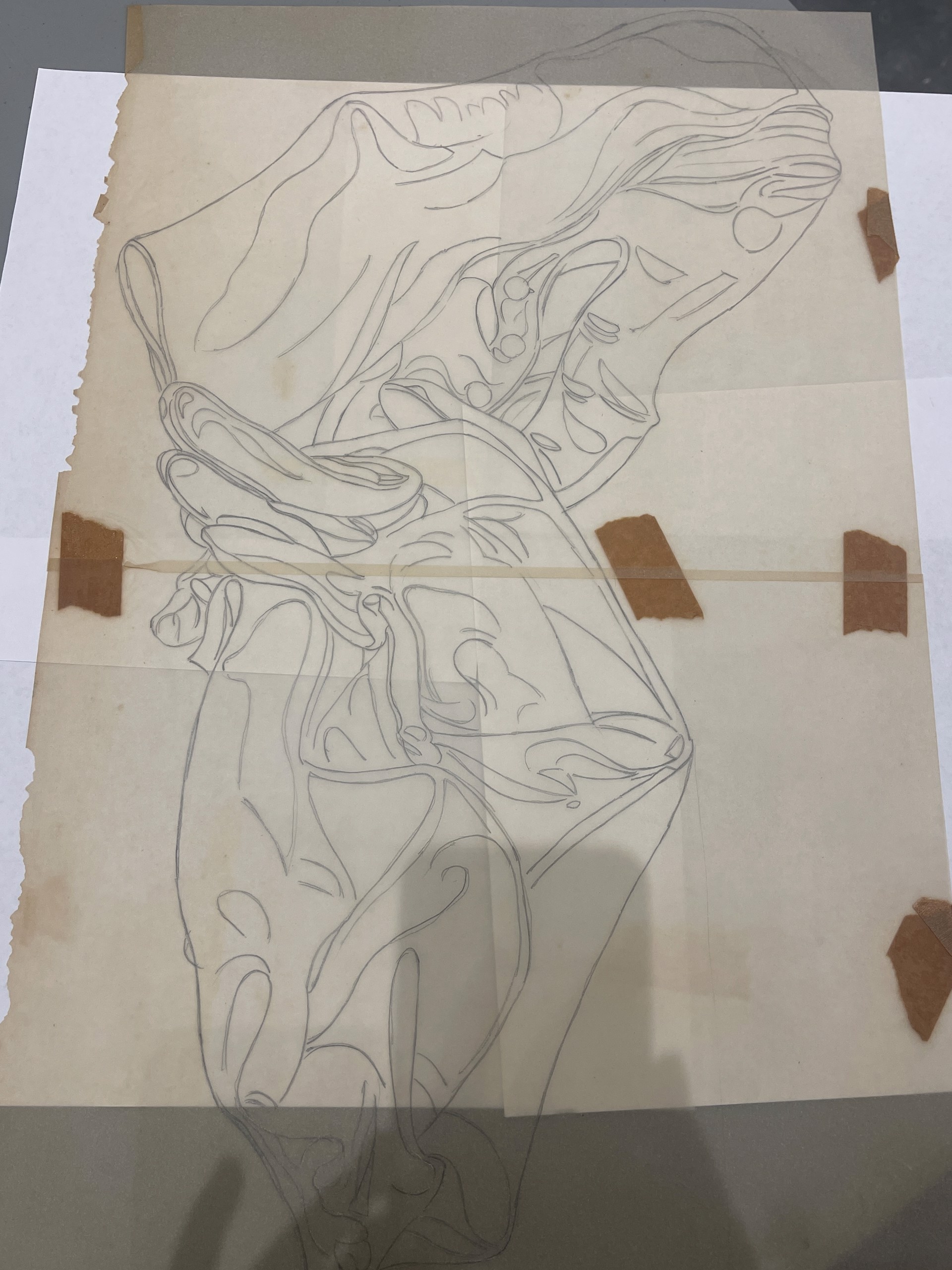 Fabric Tracing Paper by Shirley Rabe' Masinter