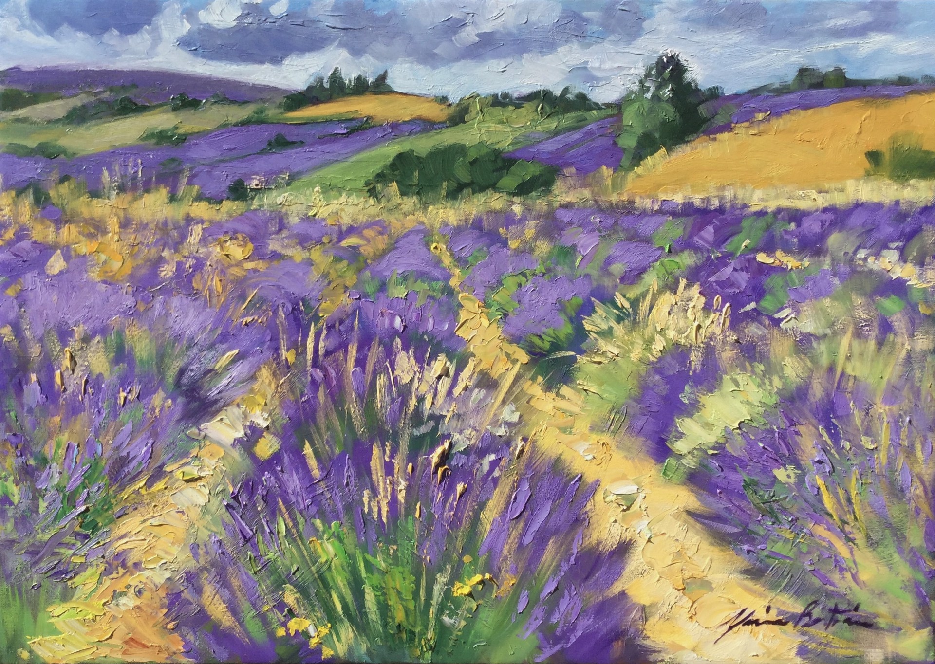 Bright Lavender Fields In Ferrasier by Maria Bertrán