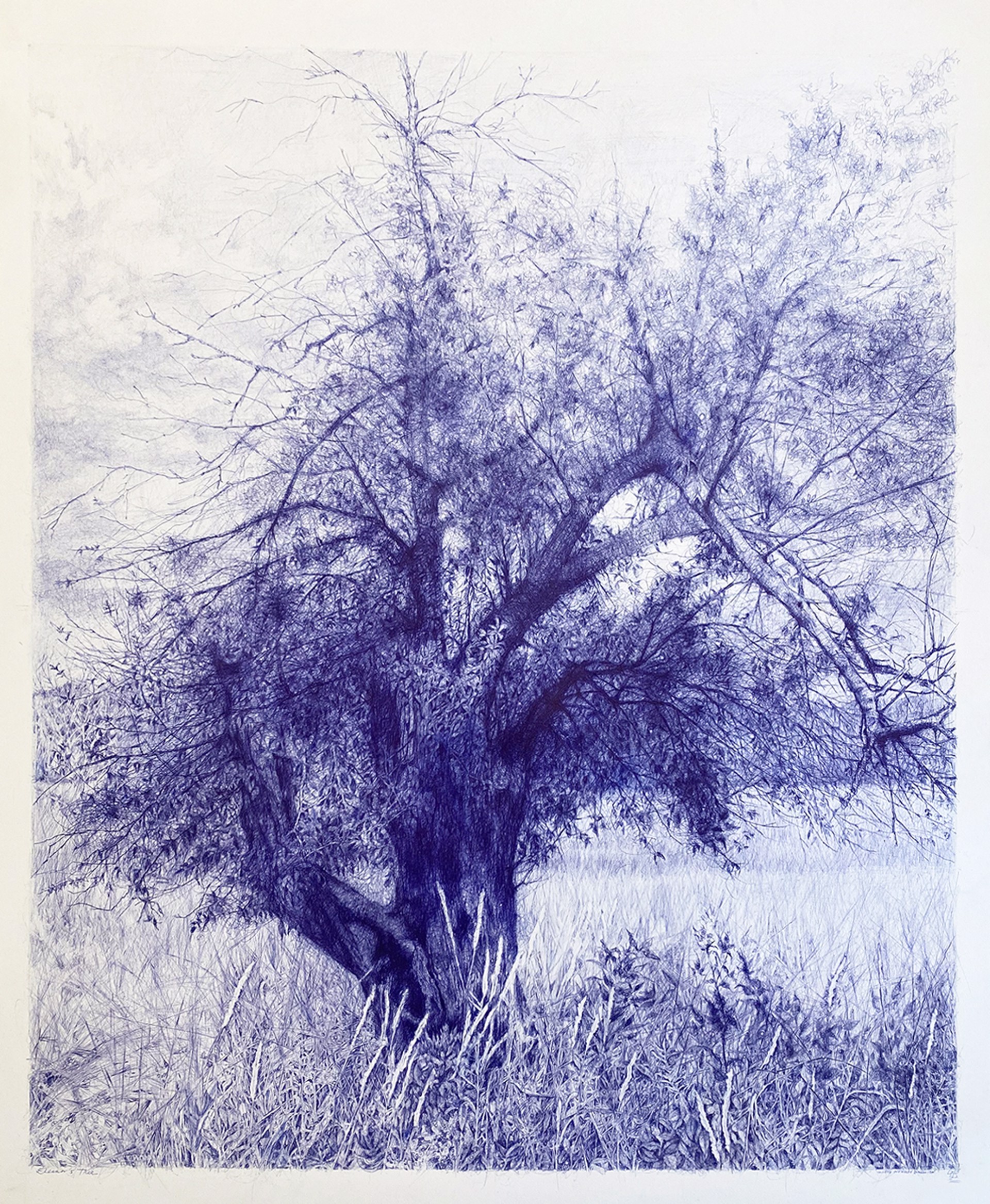 Eleanor's Tree by Linda Newman Boughton