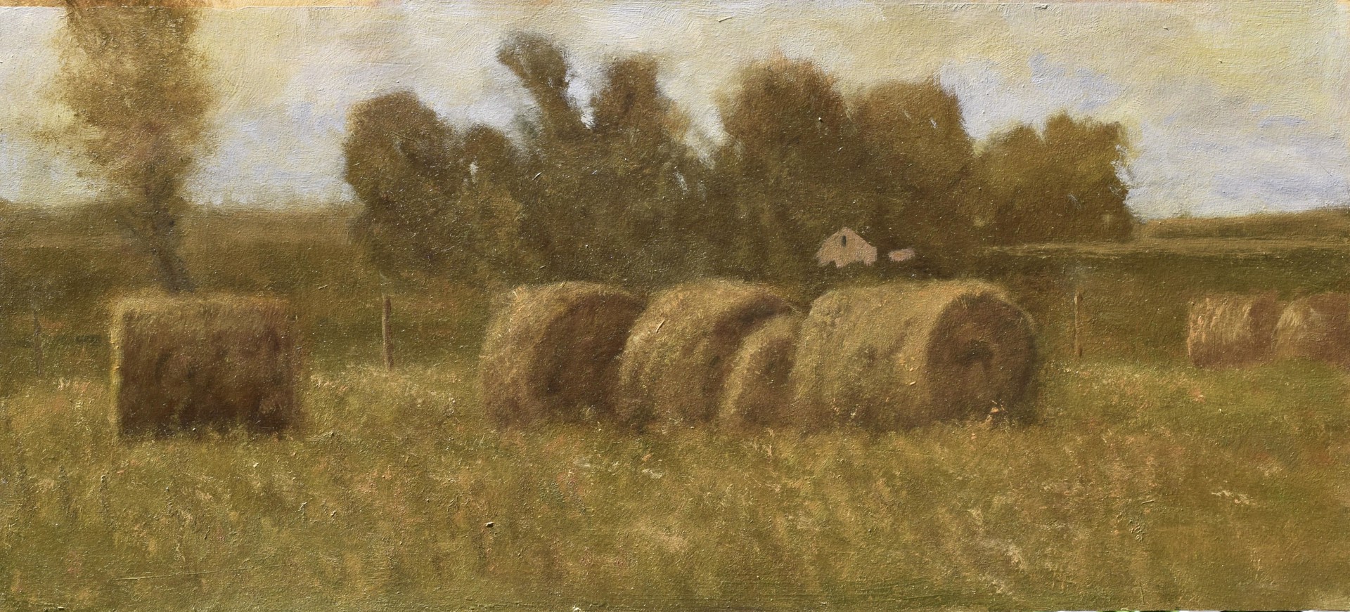 Summer Hay Field by Ray L. Knaub