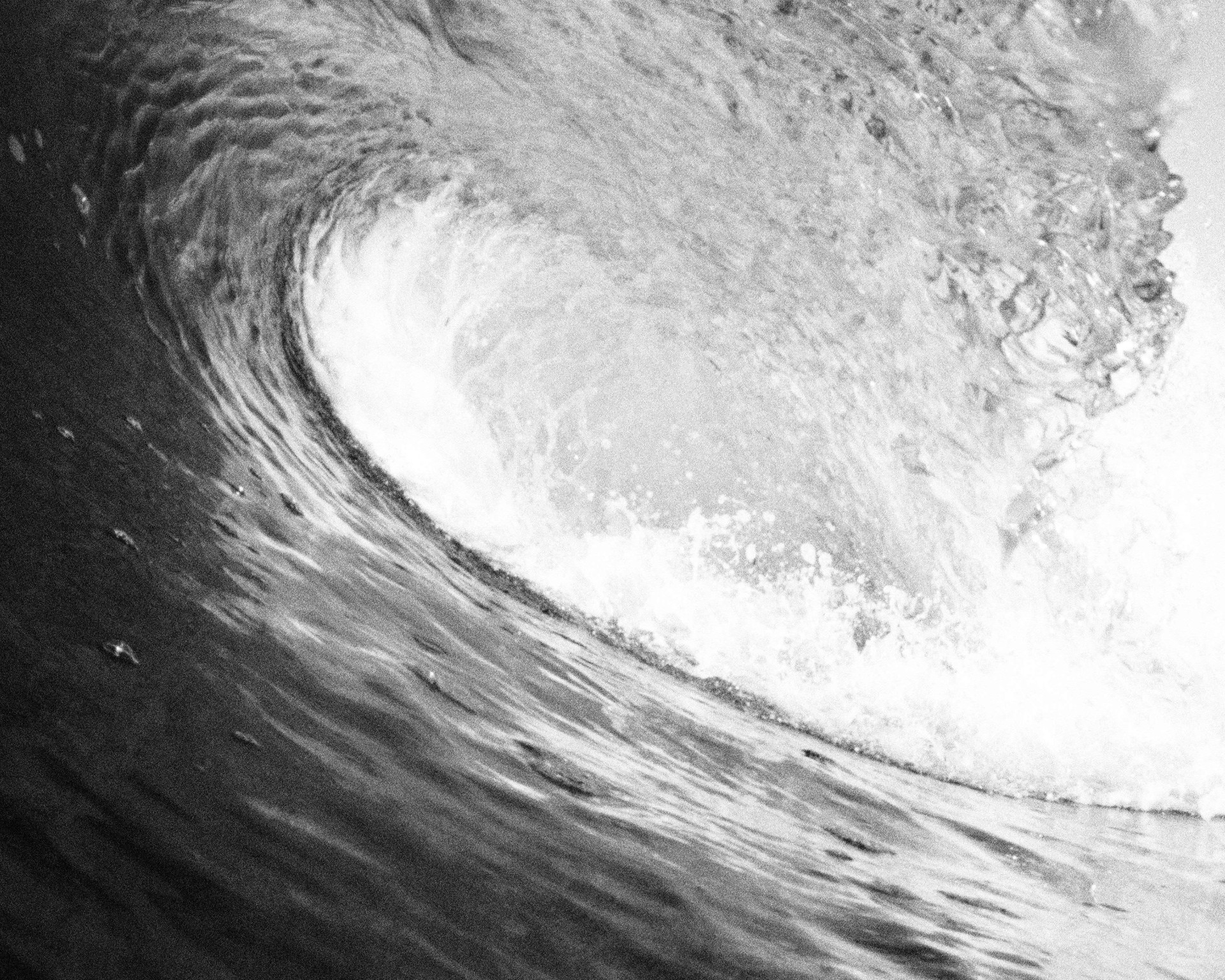 Big Wave by Mike Saijo