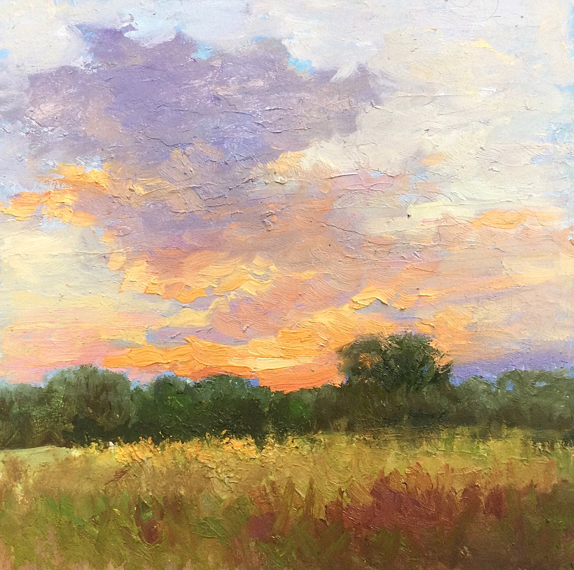 Julia Lesnichy "Sunset in Virginia" by Oil Painters of America