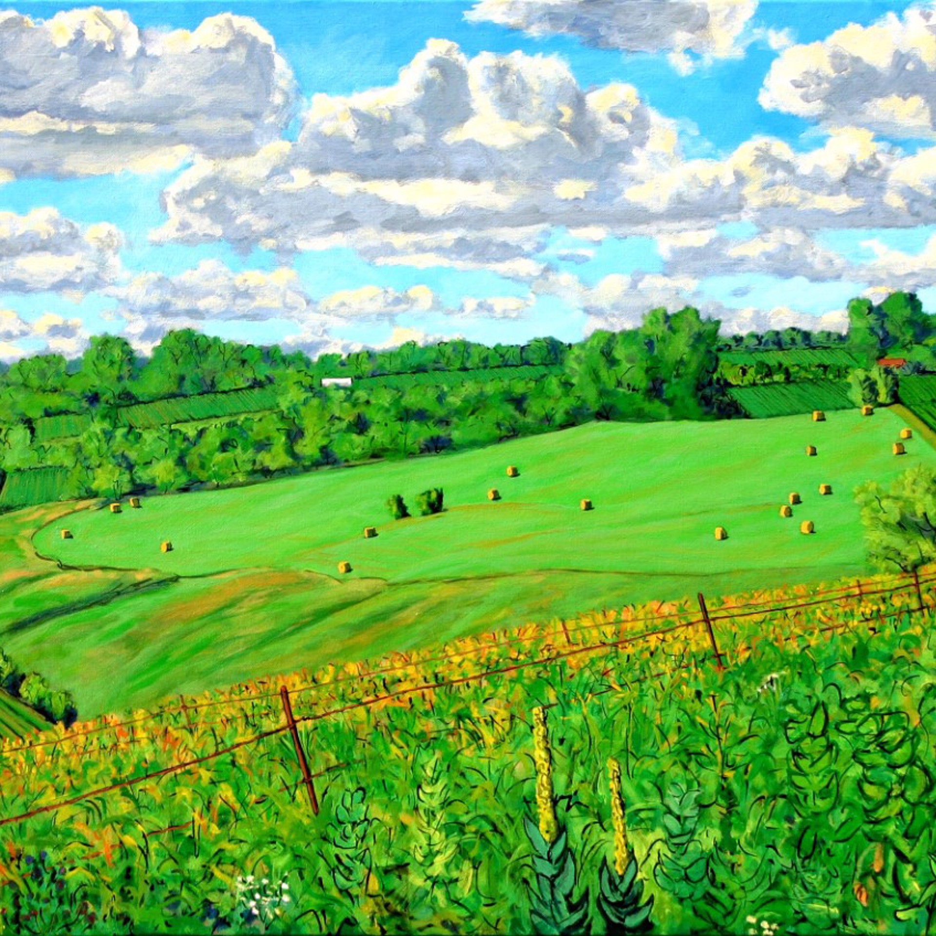 Robert Christy Lonesome Loon Gallery