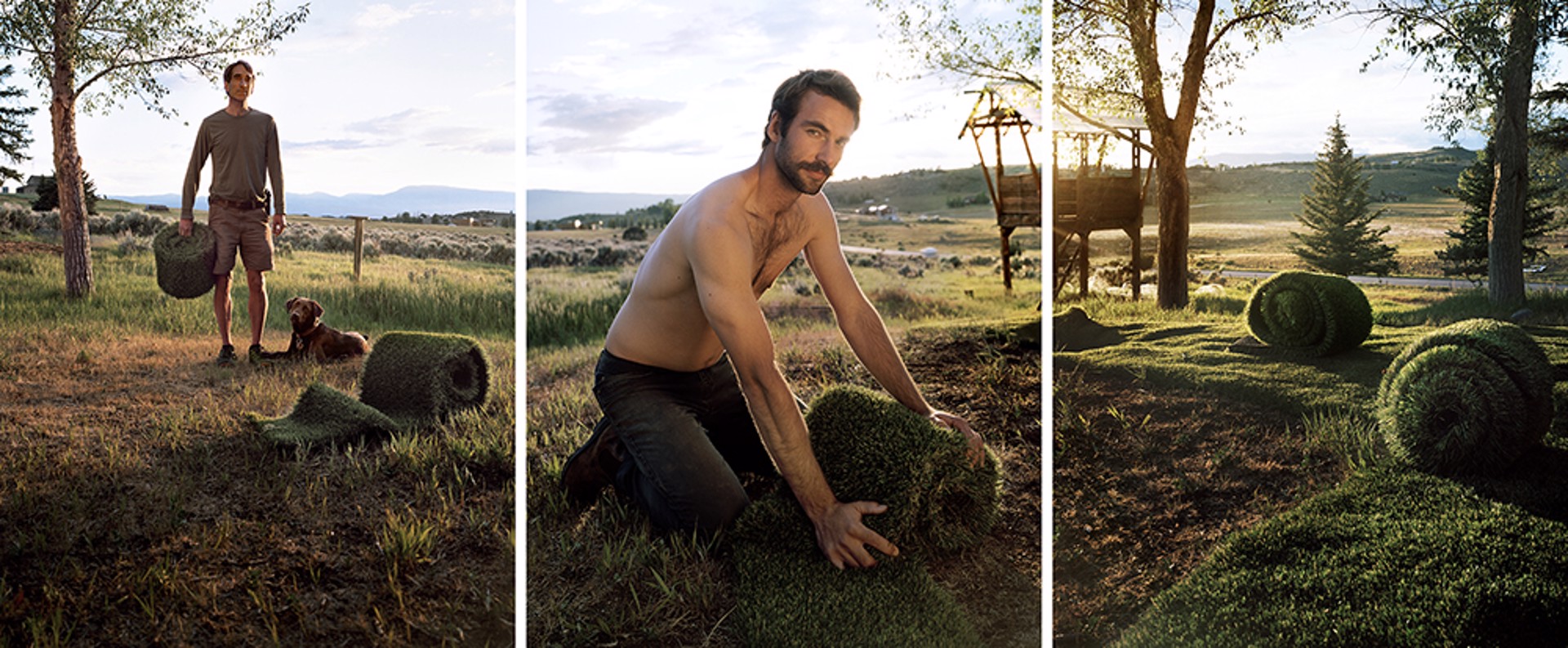 Sod by David Hilliard | ArtCloud