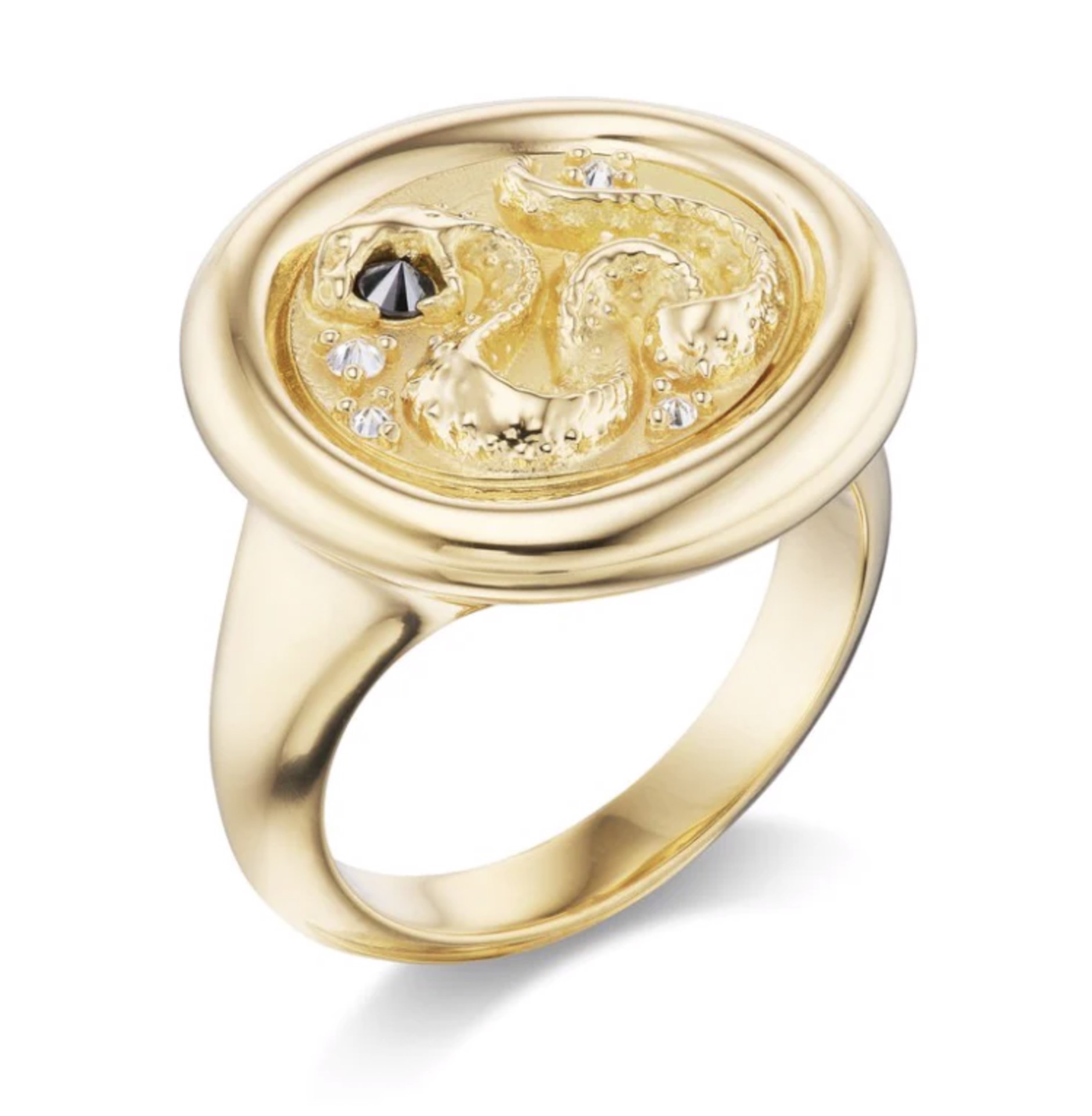 Impeccable Words WISDOM Signet Ring by Ana Katarina