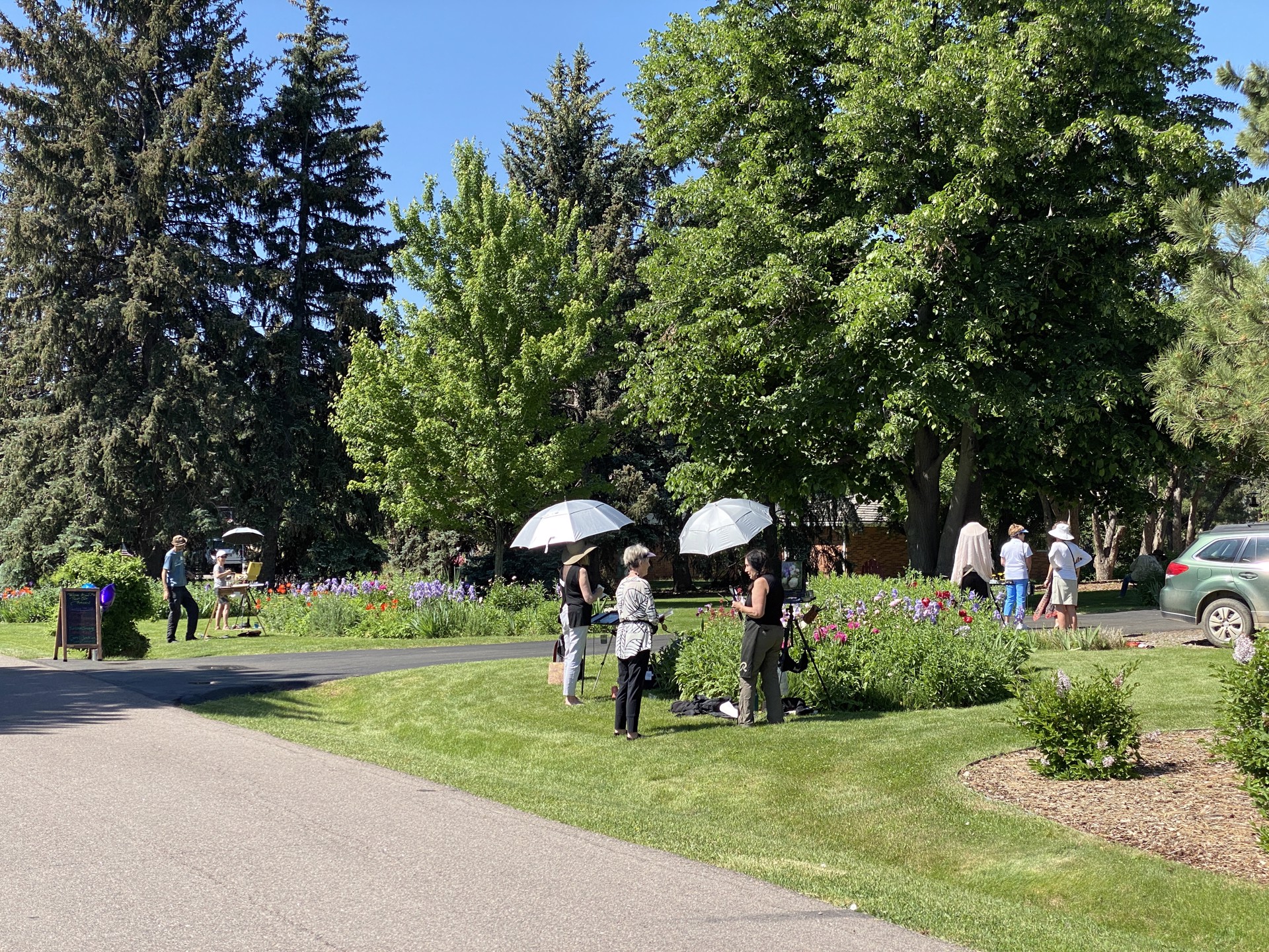 Plein air artists painting among flower beds in a lush residential garden during a sunny day at the Bow Mar Paint Out