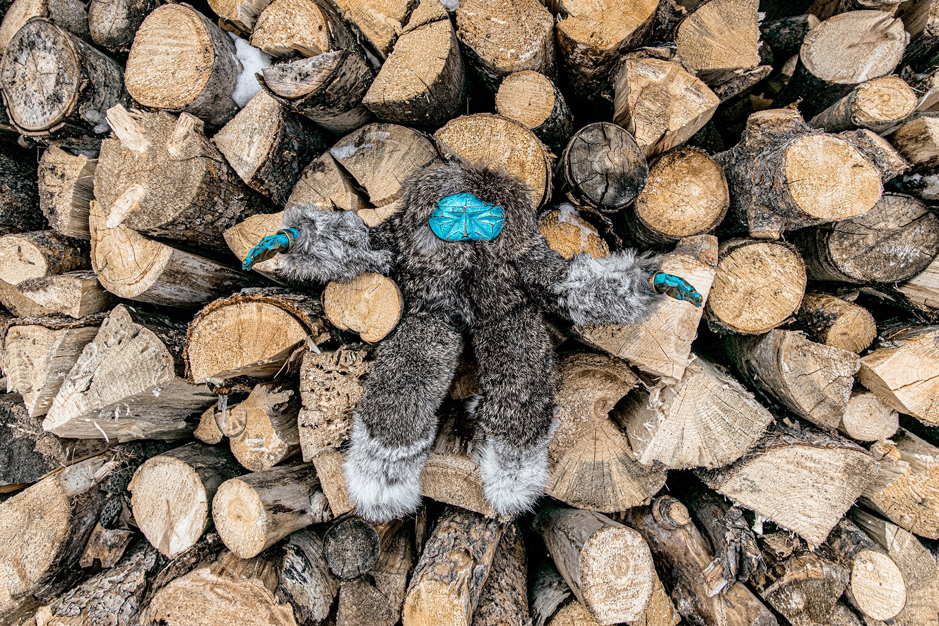 MOCHI SAXEY - 13 X 19 by Jason Siegel | ArtCloud