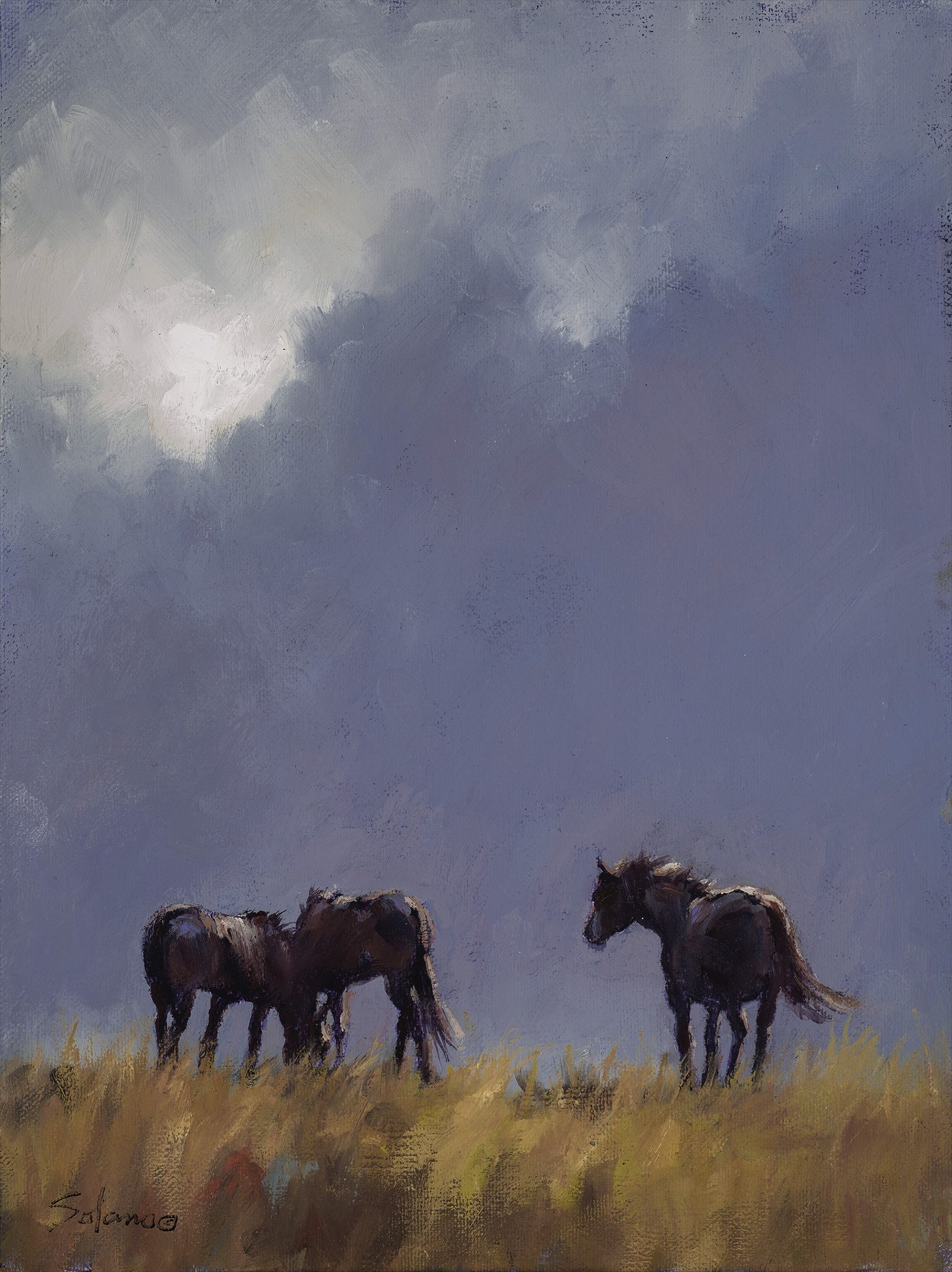 Mustangs of Buffalo Gap by Nathan Solano | ArtCloud