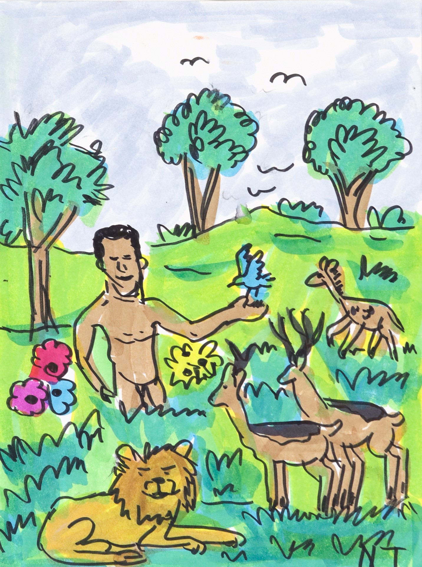 Creatation Cartoon Day 6 Of Creation Cartoon