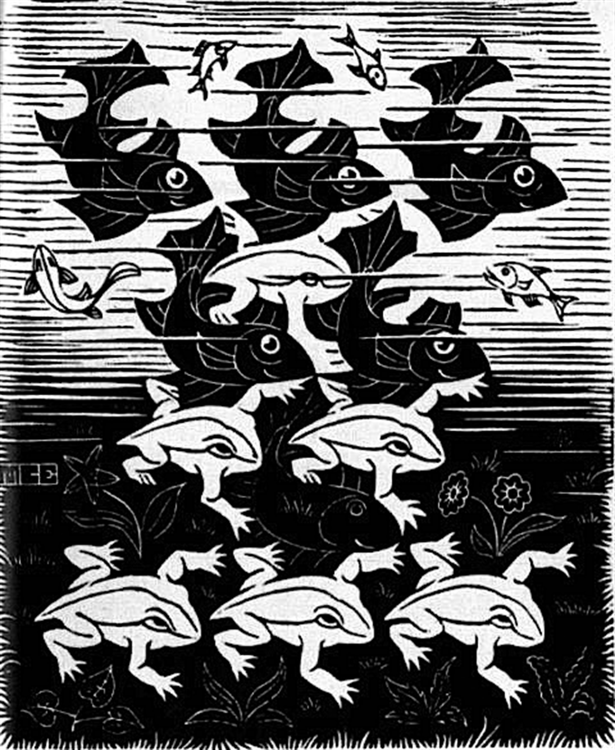 Fish And Frogs By M C Escher Skot Foreman Gallery