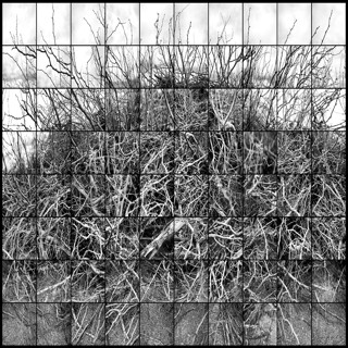 Klepper Gallery