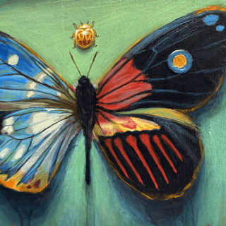 Hybrid Butterfly 44 by Stacy D'Aguiar | Abend Gallery
