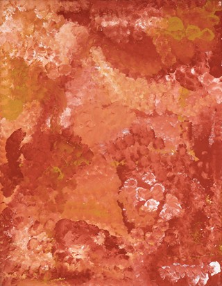 Wild Potato by Emily Kame Kngwarreye
