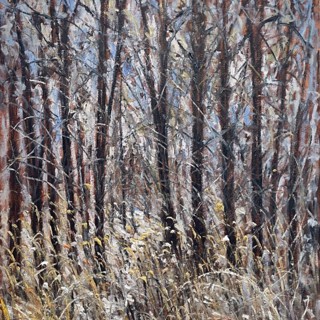 Snow, Parc Rhône, 48x36 Snow, Parc Rhône, 48x36