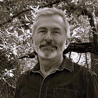 William Wahlgren William Wahlgren