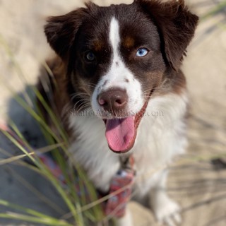 My chief security officer, Ruby