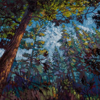 "New Light" by Adam Turner