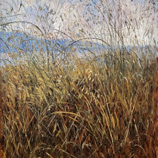 Wild Beauty, Mediterranean shore V, 60x48 Wild Beauty, Mediterranean shore V, 60x48