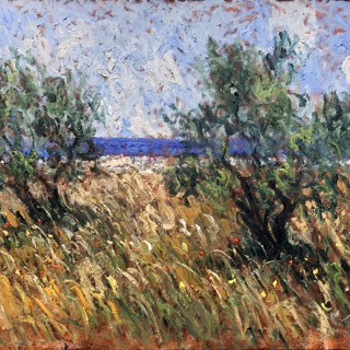 Oliviers au bord de la Méditerranée 24x36 Oliviers au bord de la Méditerranée 24x36