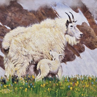 Beartooth Bonding by John Potter