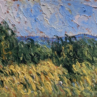 Biade, mes oliviers, 12x16 Biade, mes oliviers, 12x16