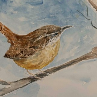 Watercolor: Birds