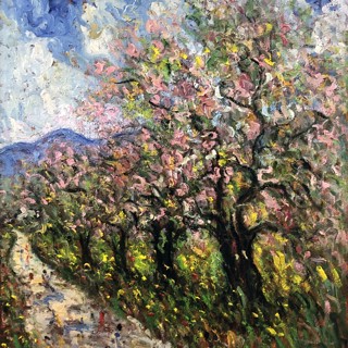 Amandier en fleurs 30x24 Amandier en fleurs 30x24