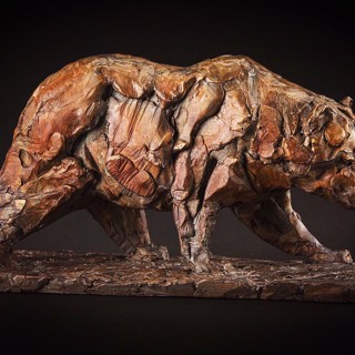 Young Bear Walking by Mark Edwards Adams