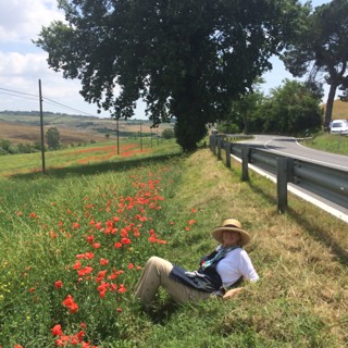 All those Poppies! All those Poppies!