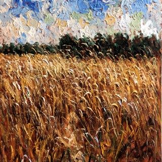 Sun scorched Wheat Field, 40x30 Sun scorched Wheat Field, 40x30