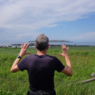 Lans Aux Meadows Lans Aux Meadows