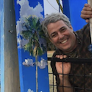 Peter Carolin Peter Carolin