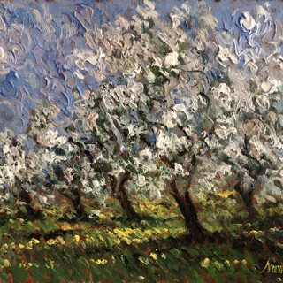 Apple Blossom 20x24 Apple Blossom 20x24