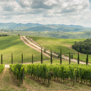 Photo Courtesy: Dievole Wine Resort & Il Chiostro Photo Courtesy: Dievole Wine Resort & Il Chiostro