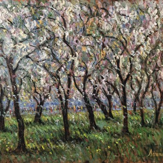 Cherry Blossom, Washington, 30x36 Cherry Blossom, Washington, 30x36