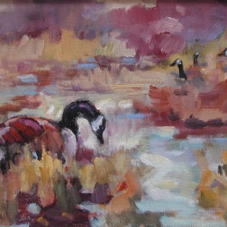 Connie Dillman