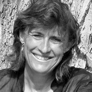 Silvia Davis Silvia Davis
