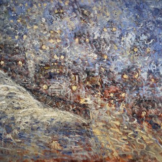 Deneigement 30x40 Deneigement 30x40