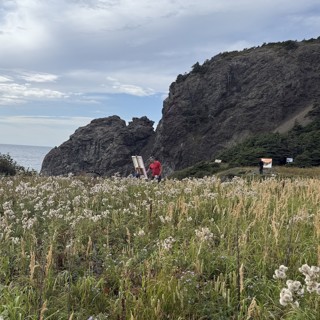 PETER LEWIS | ArtCloud