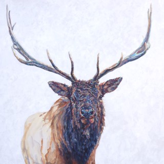 Contemporary Wildlife Artists at Gallery Wild in Jackson Hole