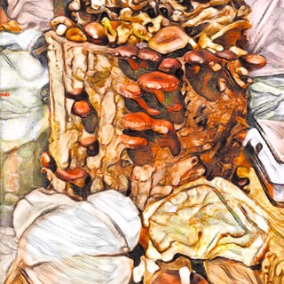 "Clinical Trial" (2020). Donna Faiella. Digitally enhanced photograph. 14 x 11 in