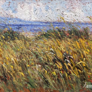 Champ de blé, Septembre au bord de la Méditerranée, 16x20 Champ de blé, Septembre au bord de la Méditerranée, 16x20