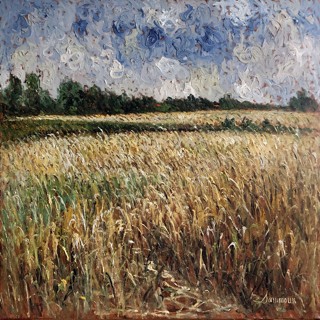 Champ de blé, St-Philippe, 40x40 Champ de blé, St-Philippe, 40x40