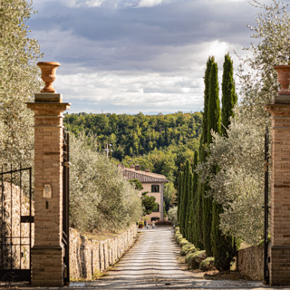 Photo Courtesy: Dievole Wine Resort & Il Chiostro Photo Courtesy: Dievole Wine Resort & Il Chiostro